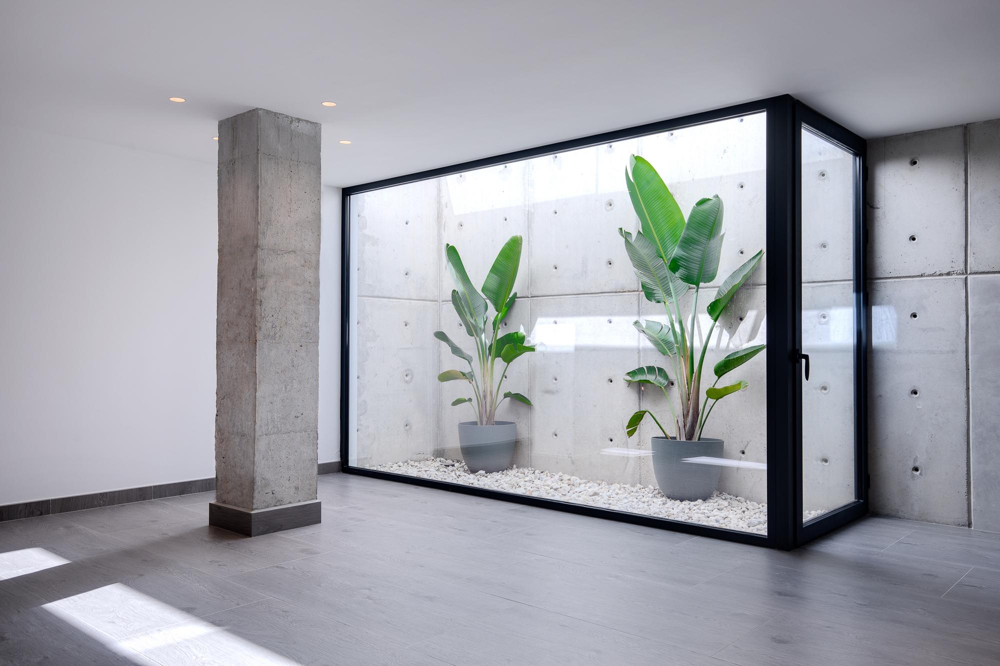 Glazed internal courtyard with exposed concrete walls at Casa Amigos